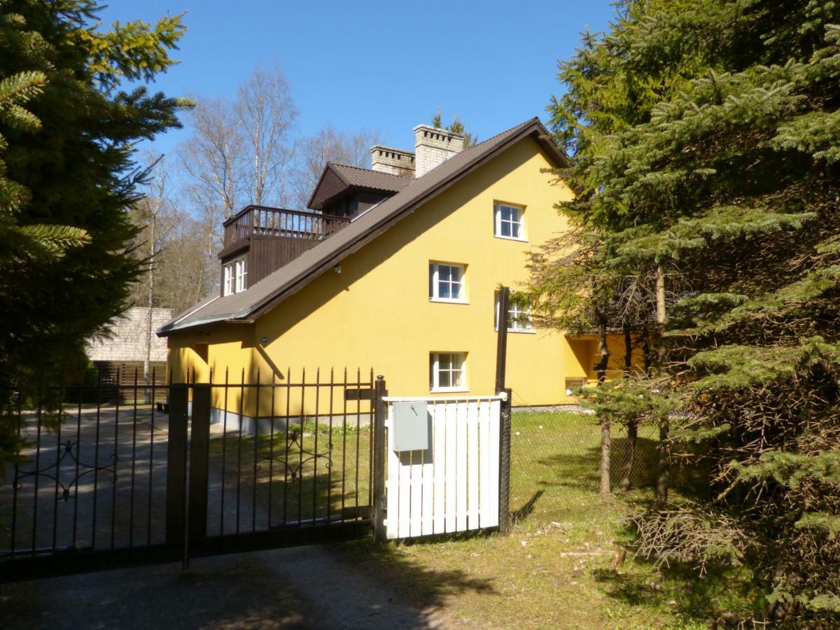 Viva Pirita Hostel 탈린 외부 사진